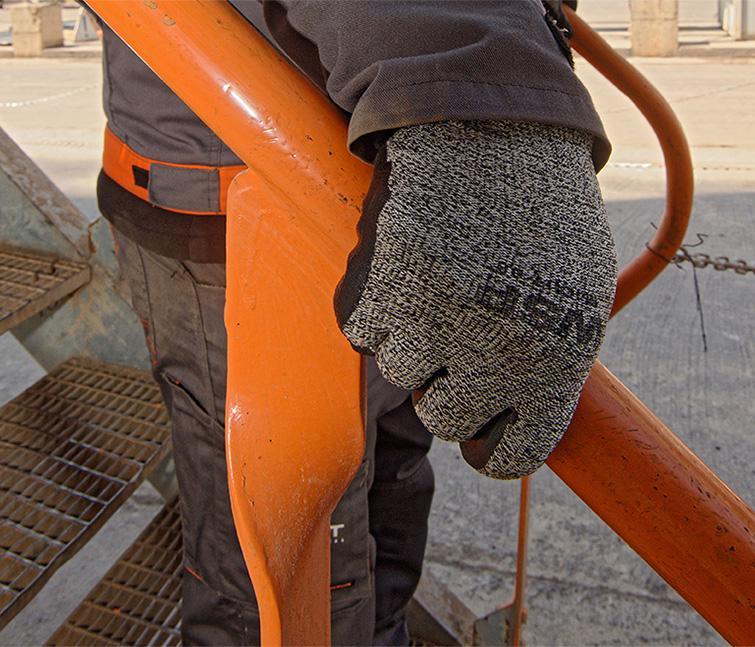 Health and Workplace Safety