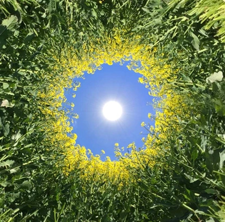 Circular economy